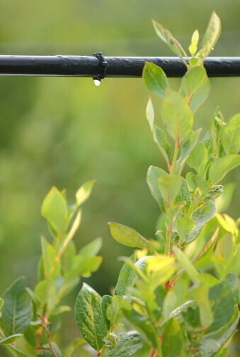 Why Irrigation Installation Shouldn’t Be a DIY Job