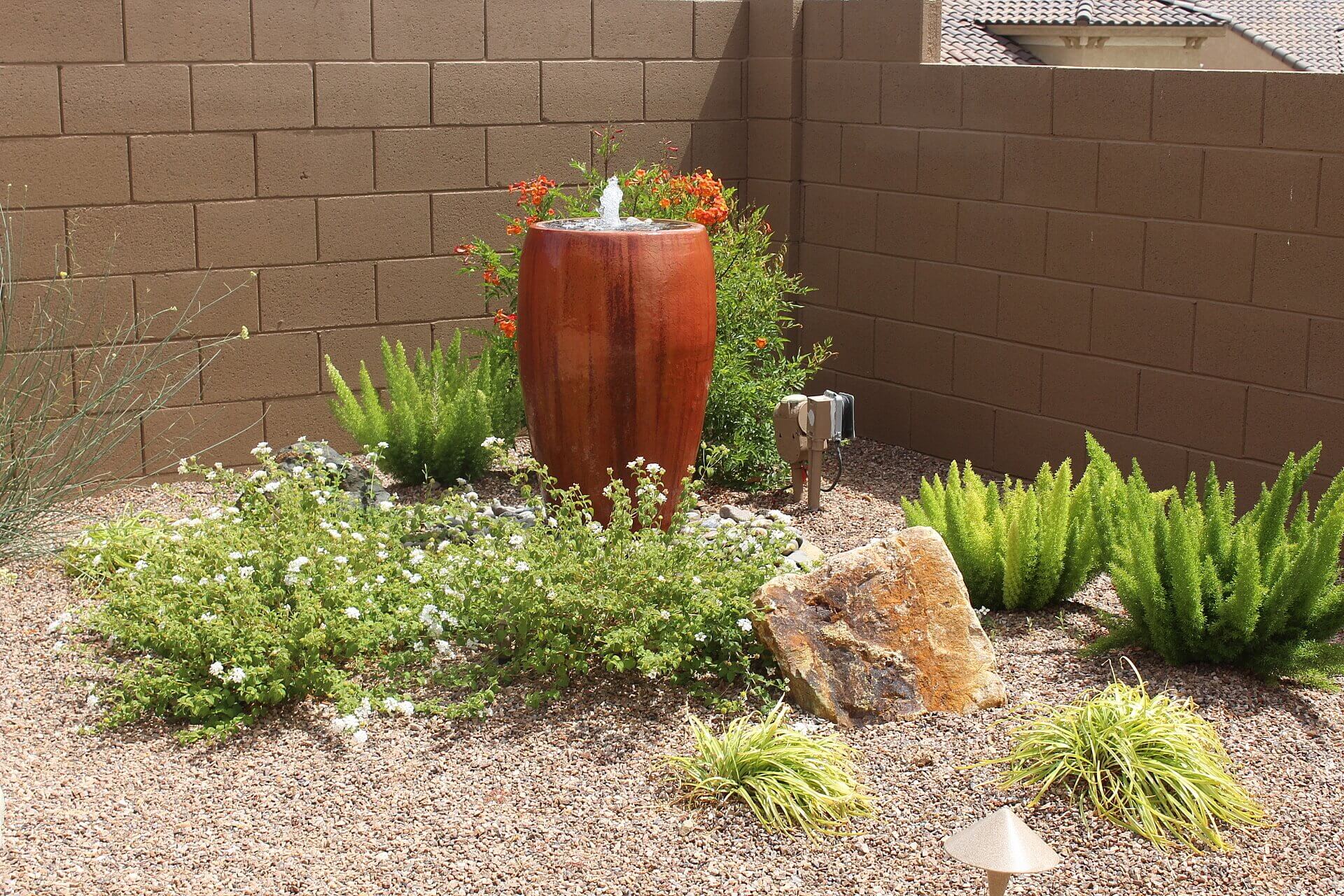 How to Save Your Plants from the Arizona Heat
