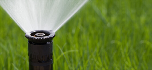 Tips for Reducing Water Use in Your Backyard