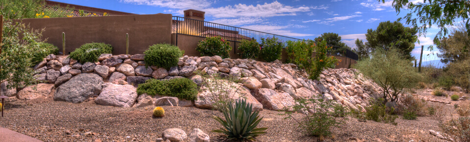 Using Your Landscape to Prevent Erosion