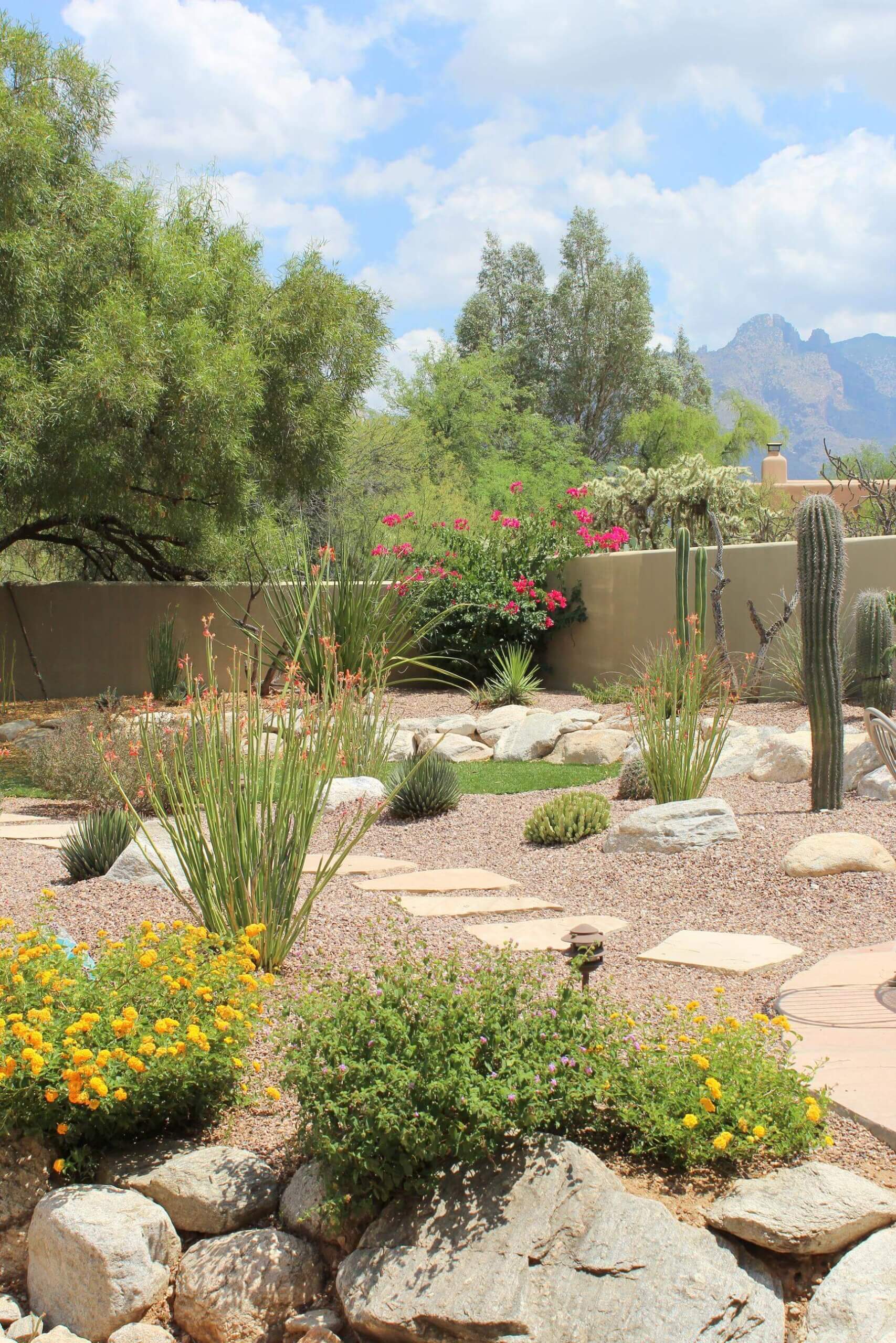Tucson Lifestyle Magazine featured Horticulture Unlimited!