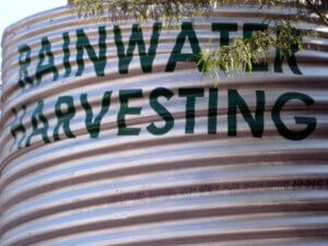 Rainwater harvesting 11-19-2008 9-47-50 AM