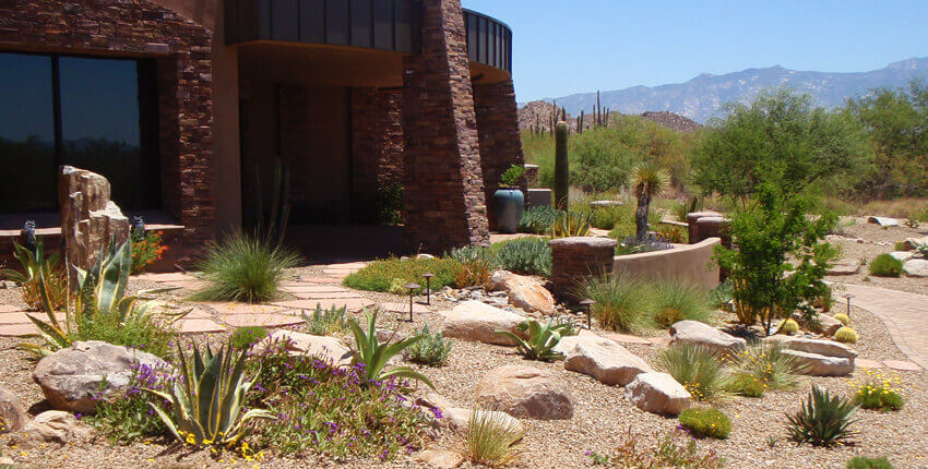 Tucson Landscape Design