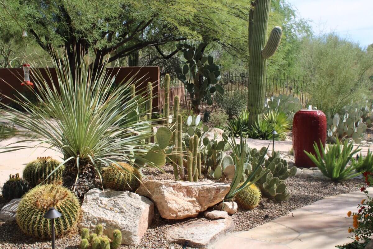 Water Features