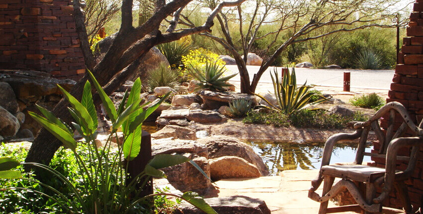 Water Features
