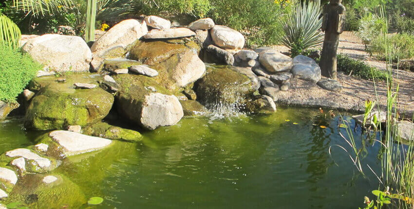 Water Features