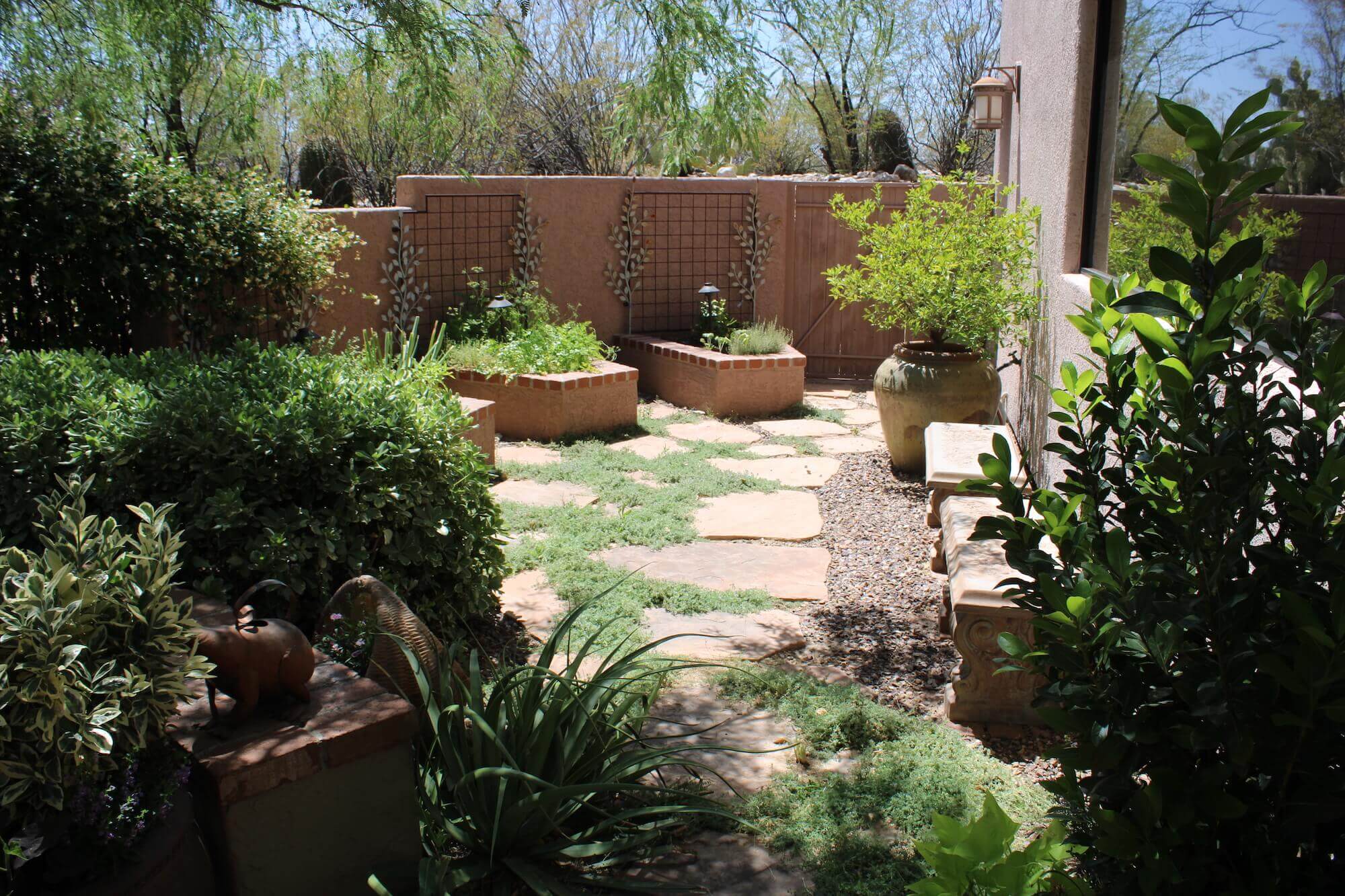 Tucson Landscape Design