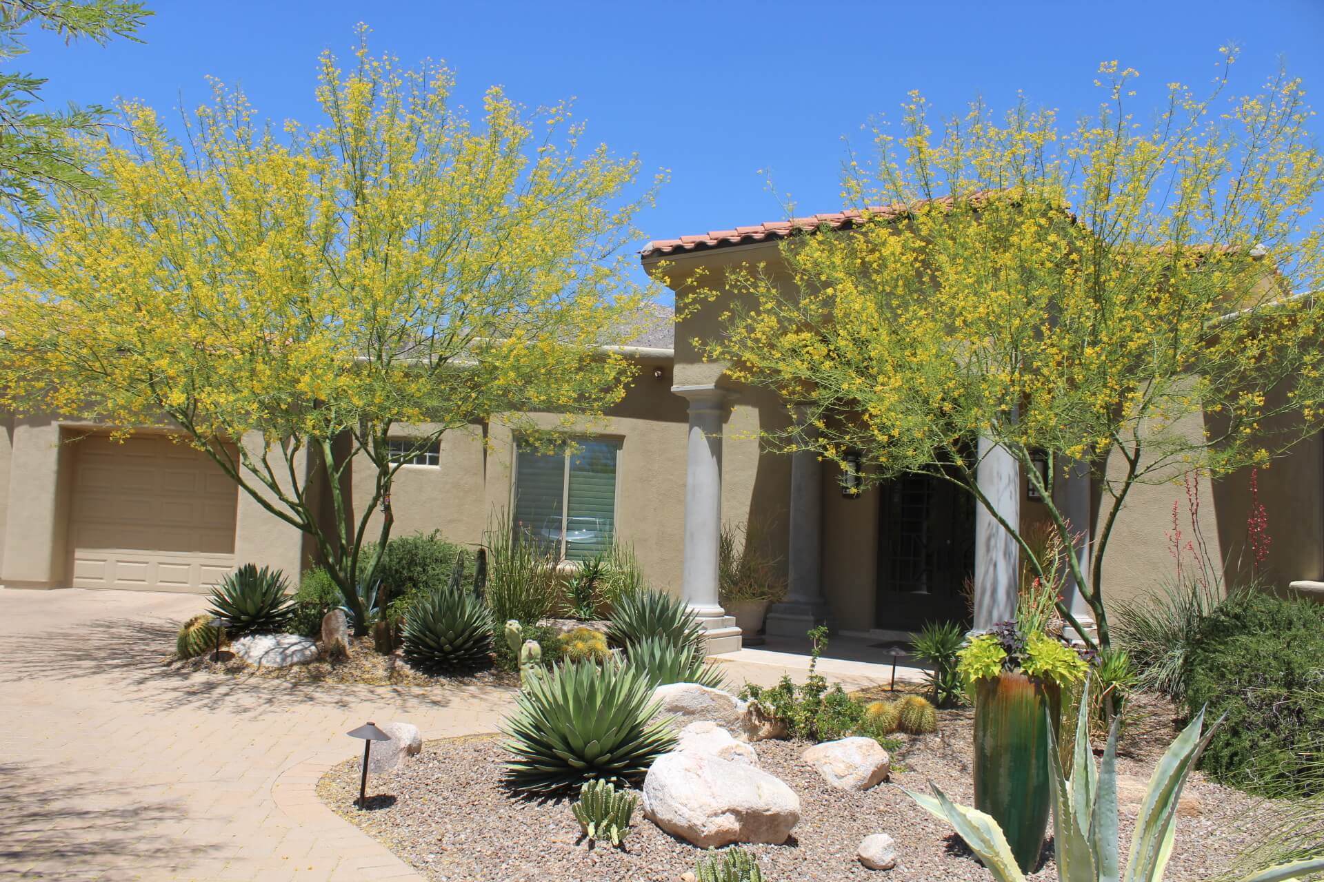 Tucson Landscape Design