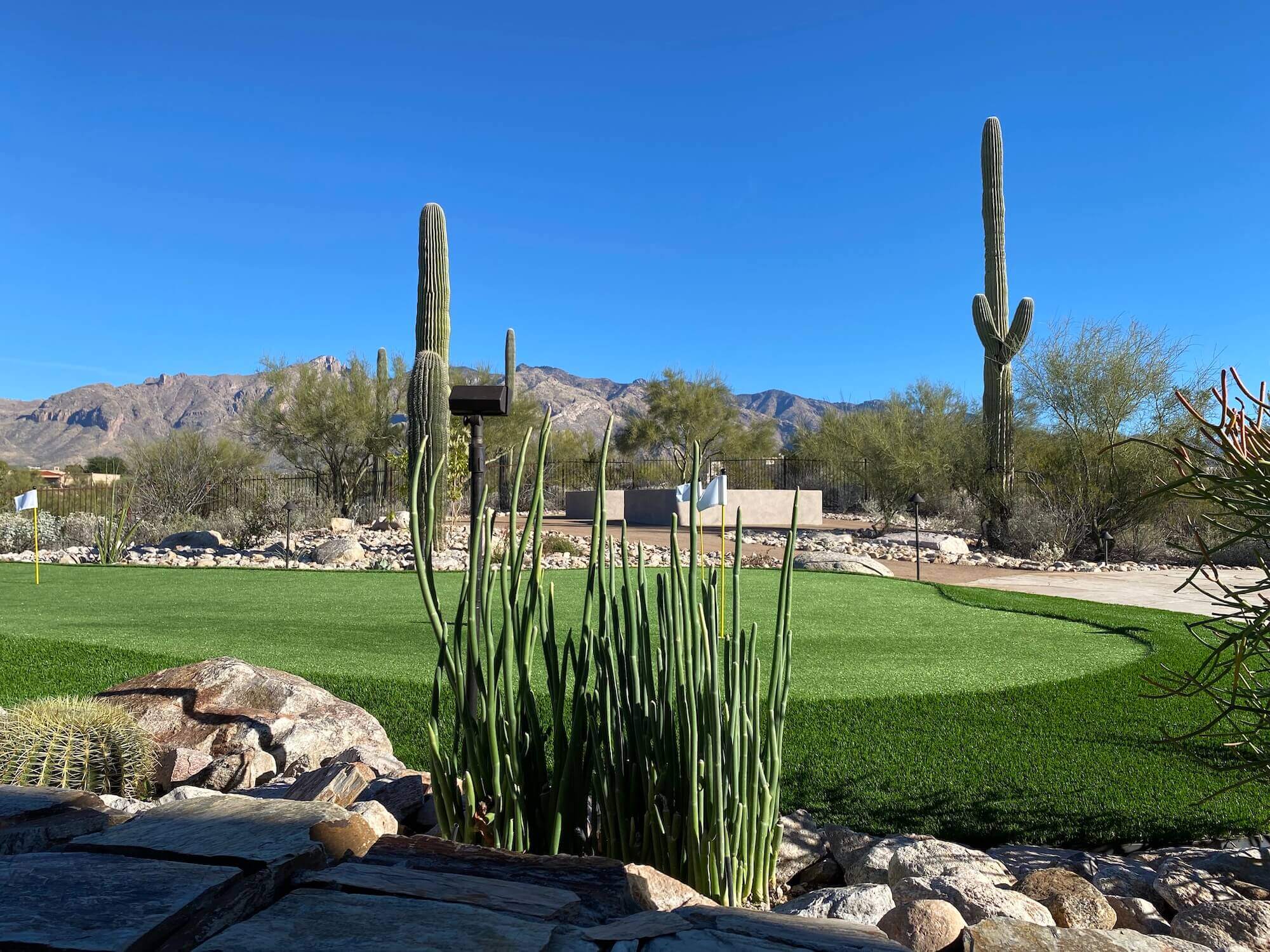 Tucson Landscape Design
