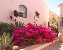 SAHBA Home & Patio Show — Spring 2014