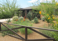 Tucson Landscape Design