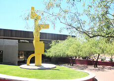 Tucson Landscape Design