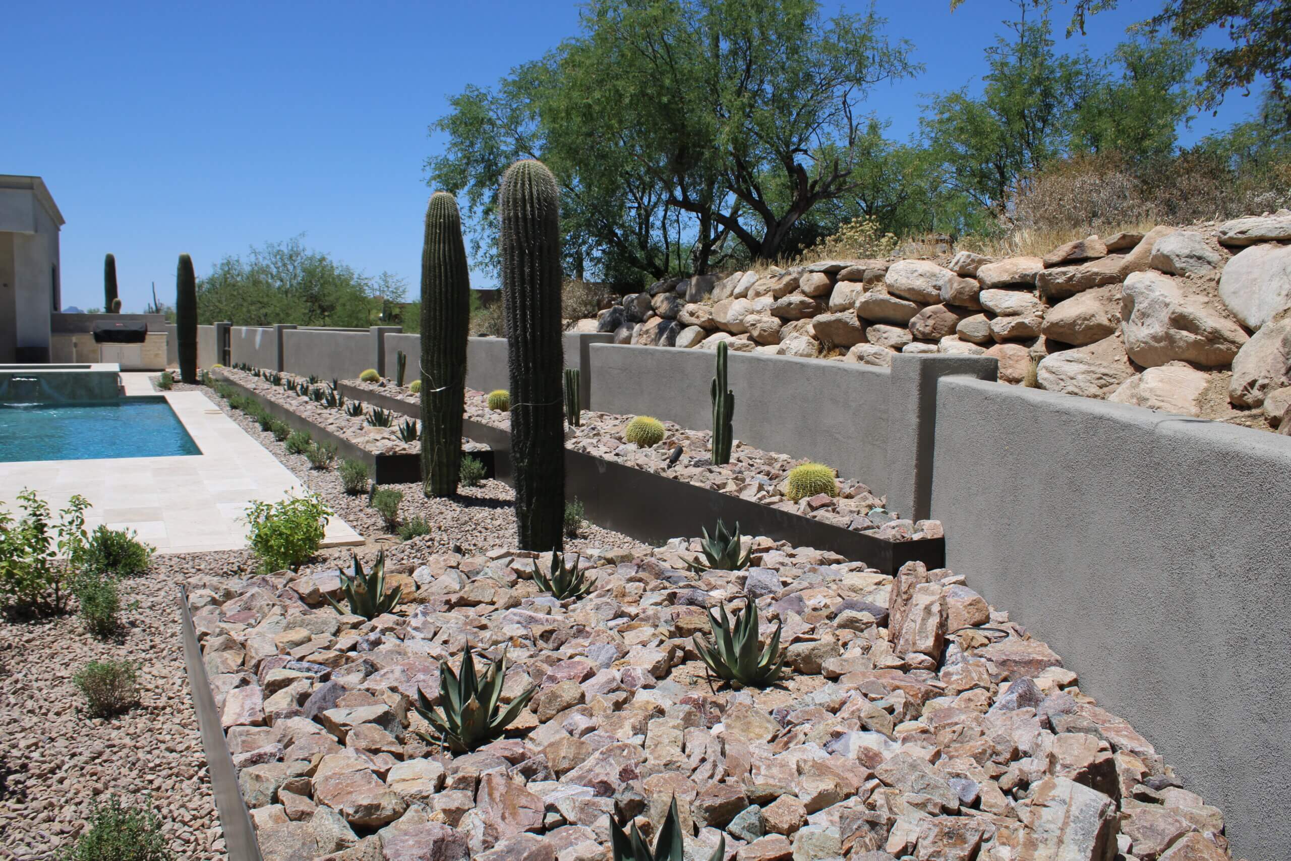 Tucson Landscape Design