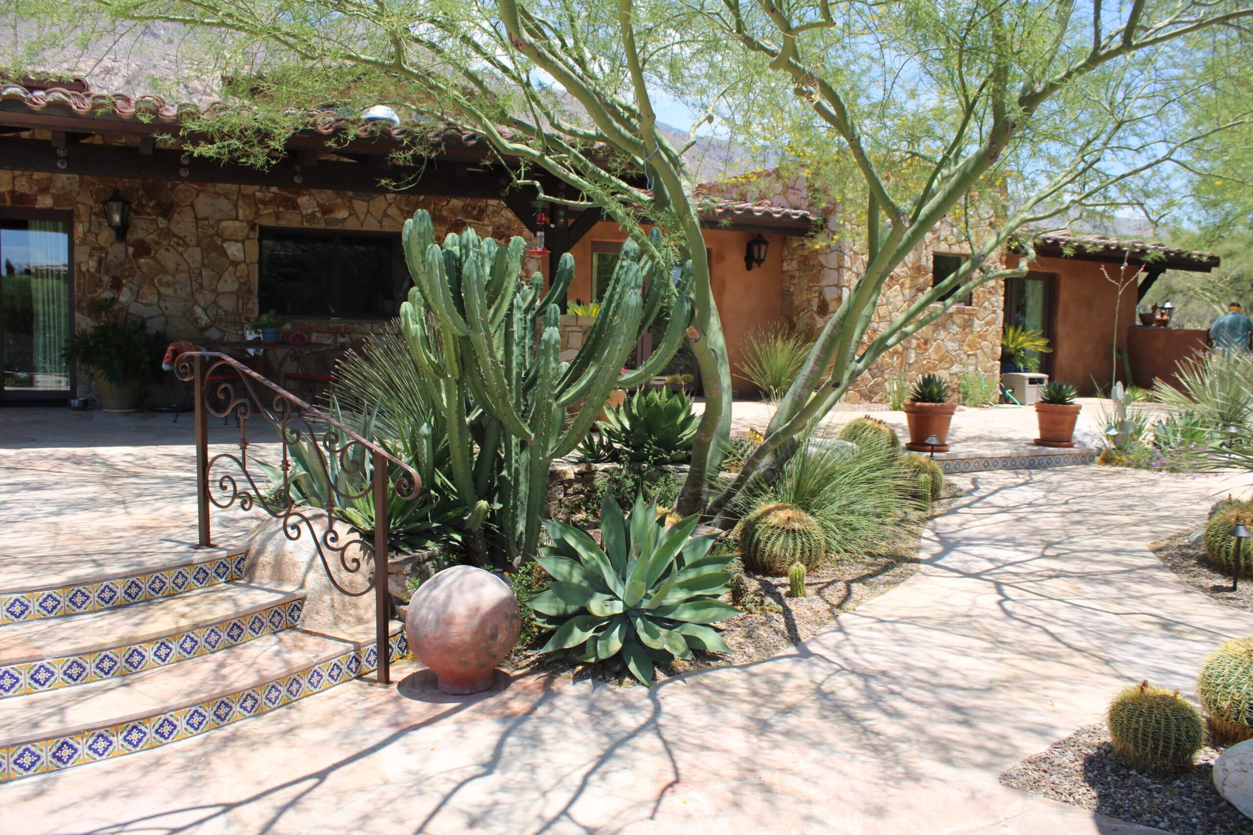 Creating a Sustainable Landscape Design
