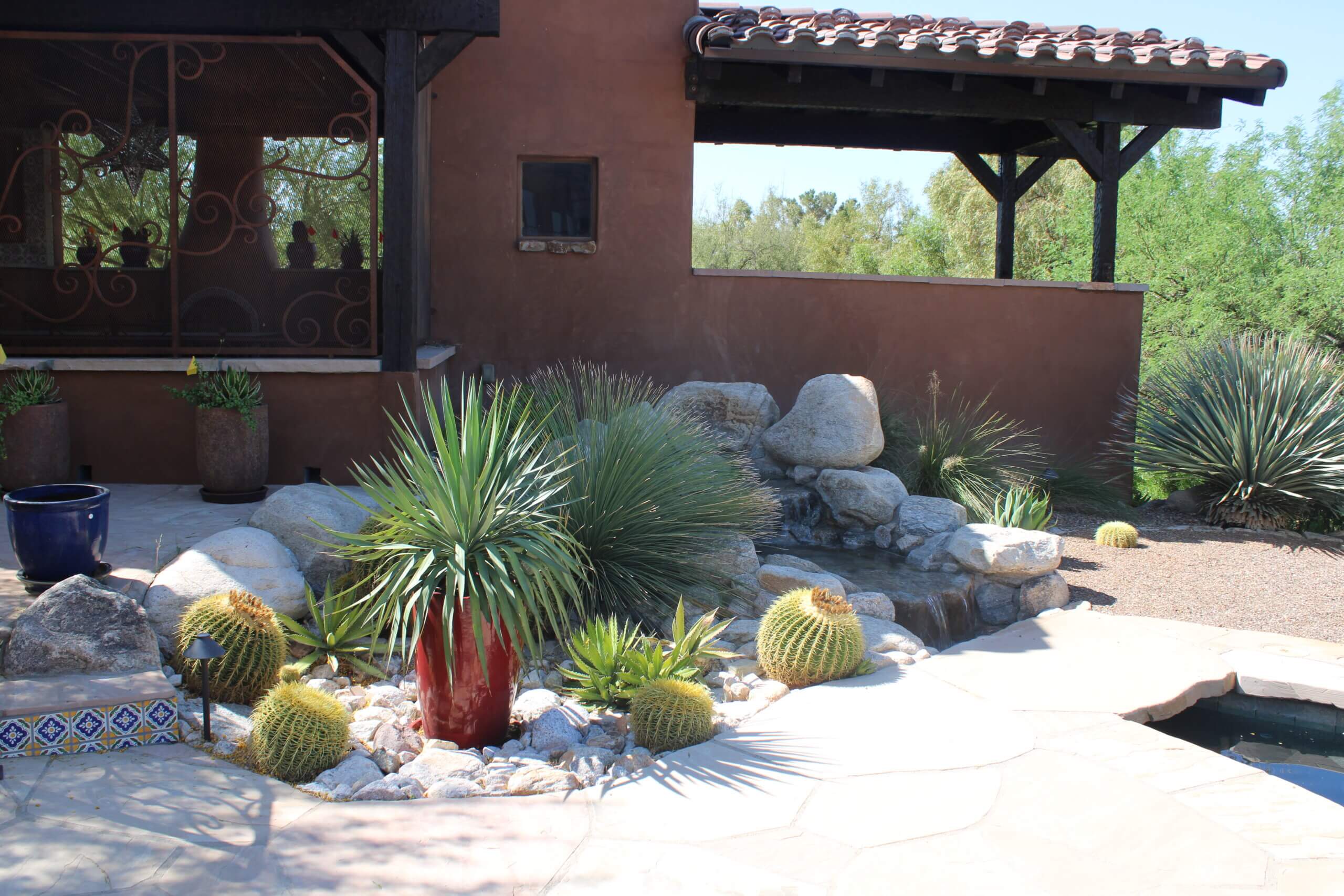 Tucson Landscape Design