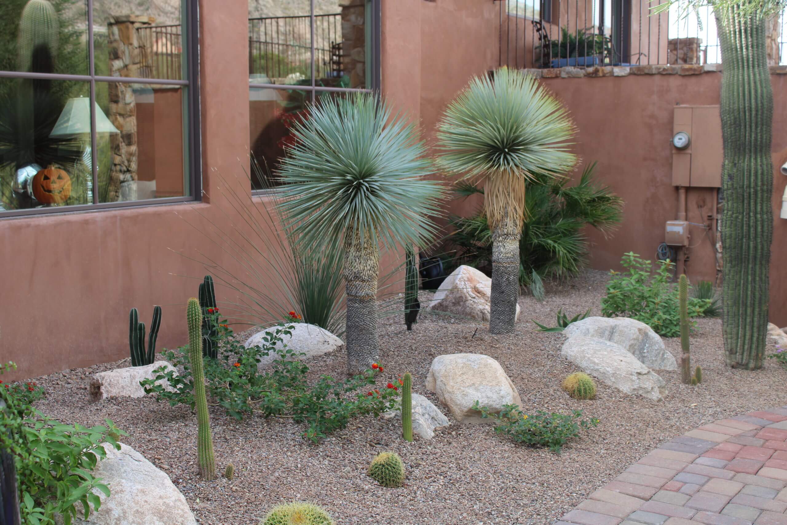 Tucson Landscape Design