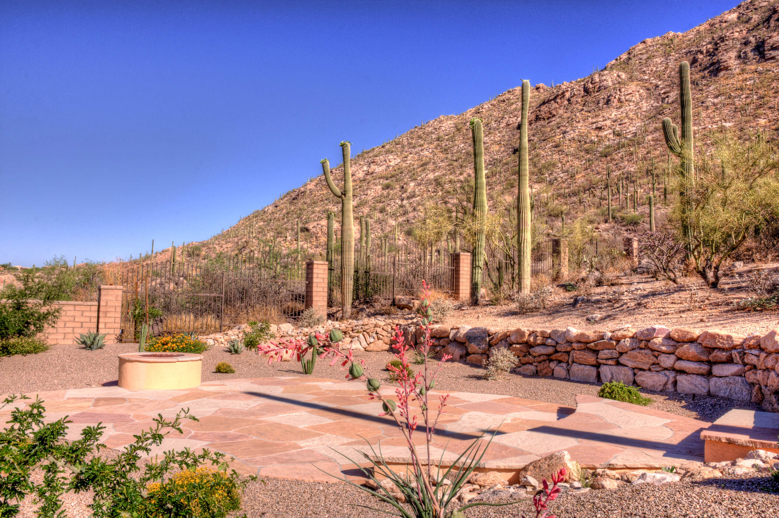 Tucson Landscape Design