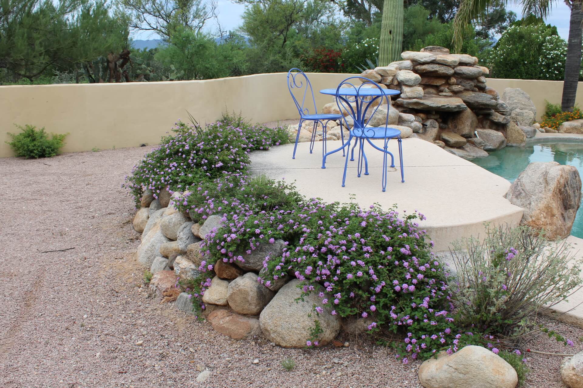 Why October is the Perfect Month for Planting in Tucson