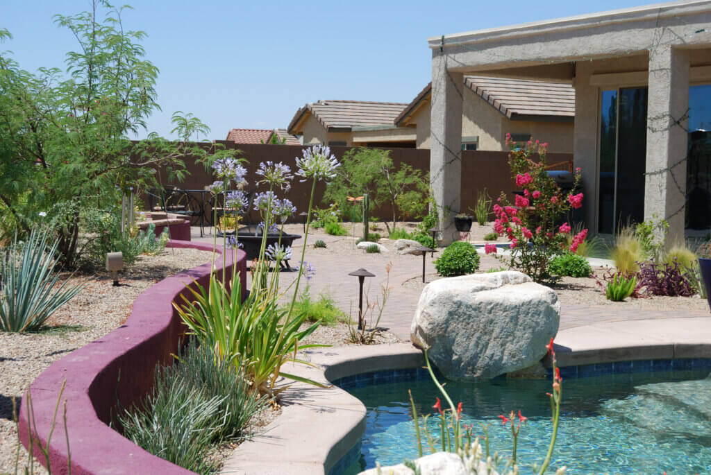 A backyard with stunning landscape design in Southern Arizona